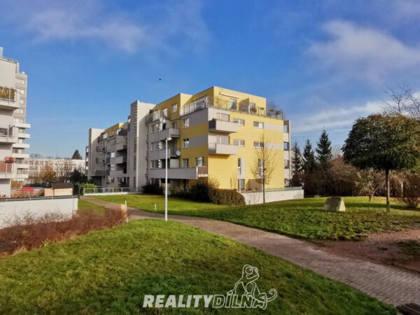 Pronájem Byt + terasa, sklep a garáž