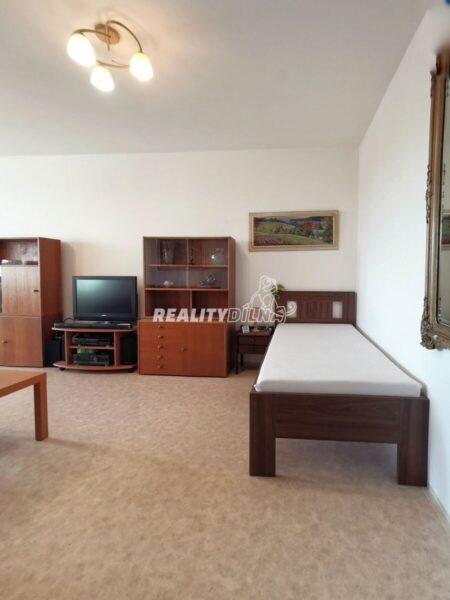 Byt 1+1 s lodžií a sklepem